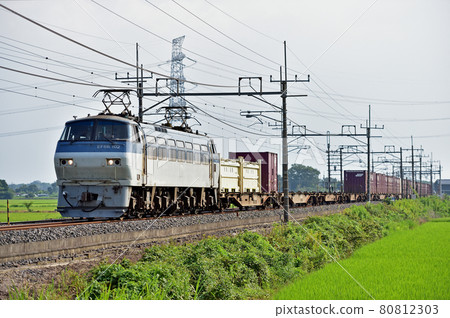 Tohoku Main Line Higashi-Washimiya-Kurihashi JR Freight EF66-102 (Suita) Tohoku Main Line Higashi-Washimiya-Kurihashi JR Freight EF66-102 (Suita) 80812303