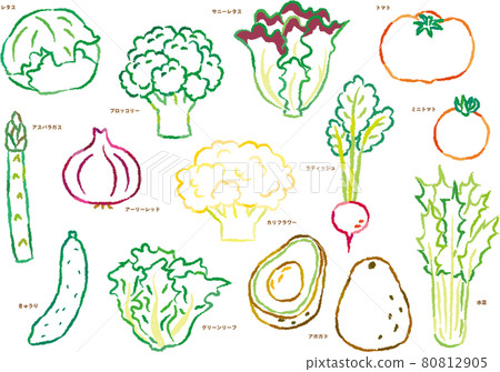 Vegetable line drawing illustration set salad Vegetable line drawing illustration set salad 80812905
