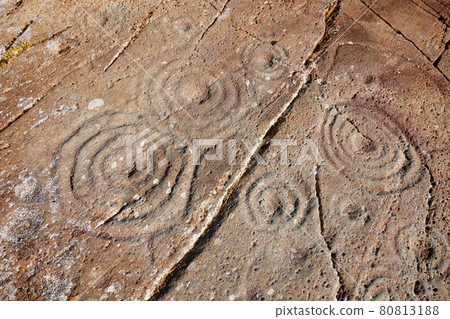 Cup and rings marked stone at Cairnbaan prehistoric site Argyll and Bute Scotland UK 80813188
