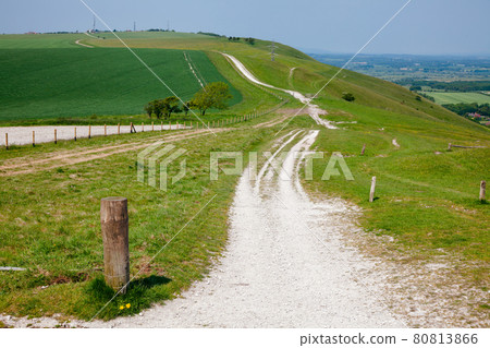 South Downs Way National Trail in Sussex Southern England UK 80813866