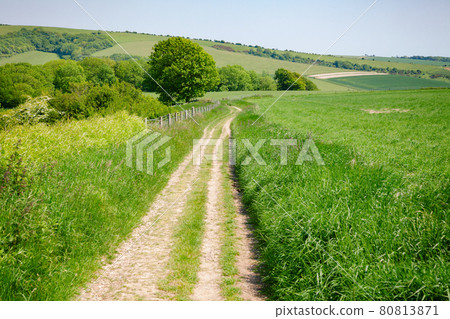 South Downs Way National Trail in Sussex Southern England UK South Downs Way National Trail in Sussex Southern England UK 80813871