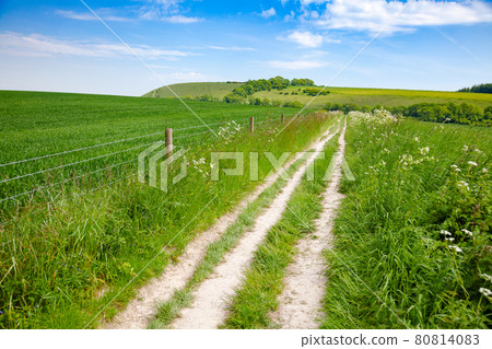South Downs Way National Trail in Sussex Southern England UK 80814083