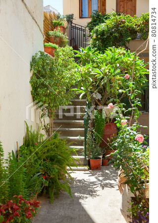 Flowers at the doorway Flowers at the doorway 80814734