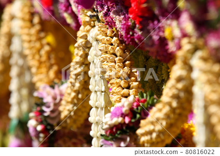 Scenery from statues and flowers on the street, Thailand 80816022
