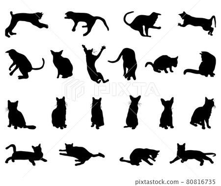 cats, silhouette, vector 80816735