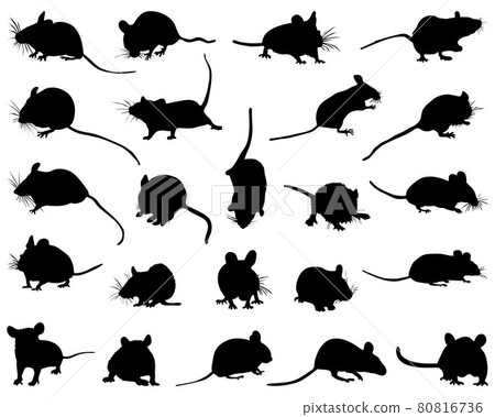 Black silhouettes of mouses on a white background 80816736