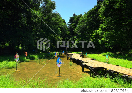 夏日宮澤賢治兒童故事村 夏日宮澤賢治兒童故事村 80817684