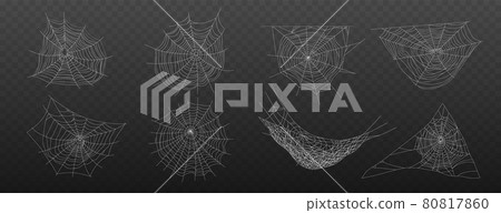 Realistic Cobweb Icon Set 80817860