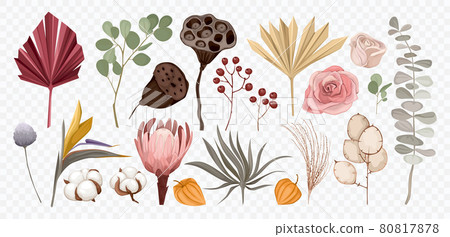 Boho Flowers Transparent Set Boho Flowers Transparent Set 80817878