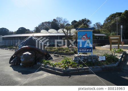 海保月 80818963