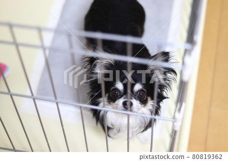 狗廁所訓練狗圈奇瓦瓦 80819362