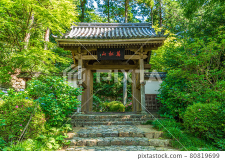 龍潭寺 80819699