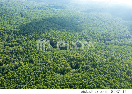 "Yamanashi Prefecture" Kiyosato / Utsukushimori aerial view 80821361