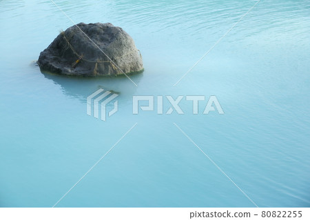 Beppu Hell Tour Oniyama Jigoku 80822255