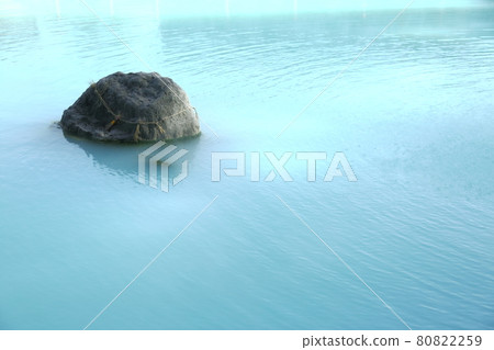 Beppu Hell Tour Oniyama Jigoku 80822259