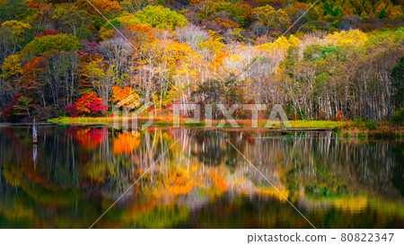 Togakushi / Kagamiike (Autumn) 80822347