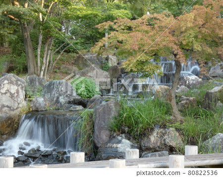 Scenery of winter natural park, Tsurumi Ryokuchi Scenery of winter natural park, Tsurumi Ryokuchi 80822536