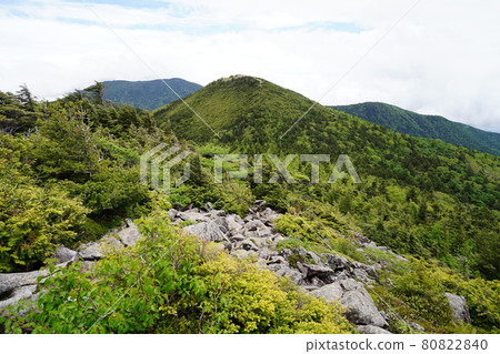 群馬-長野縣界:從湯丸高原和高峰高原之間的西筐塔頂眺望東角的方向 群馬-長野縣界:從湯丸高原和高峰高原之間的西筐塔頂眺望東角的方向 80822840