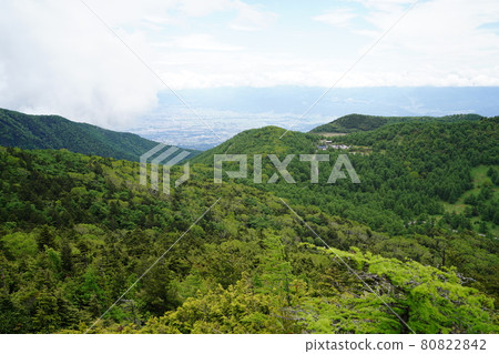 群馬-長野縣界:從湯之丸高原和高峰高原之間的西筐塔頂附近眺望池之平濕地的方向。 群馬-長野縣界:從湯之丸高原和高峰高原之間的西筐塔頂附近眺望池之平濕地的方向。 80822842