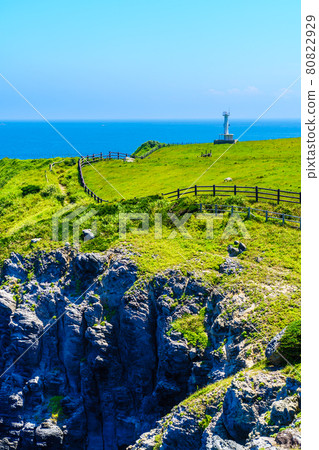 Suginohara Ranch [Karatsu City, Saga Prefecture] 80822929