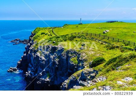 杉原牧場【佐賀縣唐津市】 80822939