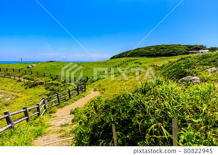 Suginohara Ranch [Karatsu City, Saga Prefecture] 80822945