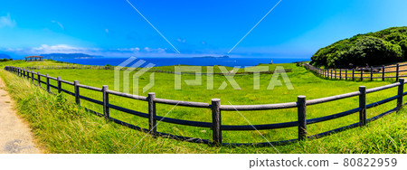 杉之原牧場全景[佐賀縣唐津市] 80822959