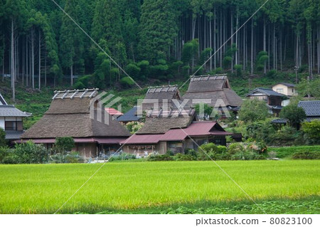 Miyama Seki no Sato 80823100
