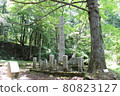 From the 1st station of Mt. Fuji climbing Mt. Fuji Yoshidaguchi starting point Misogi 80823127