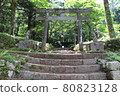 From the 1st station of Mt. Fuji climbing, Fuji Yoshidaguchi starting point, horseback 80823128