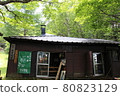 From the 1st station of Mt. Fuji climbing, Fuji Yoshidaguchi starting point, horseback 80823129