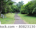 From the 1st station of Mt. Fuji climbing, Fuji Yoshidaguchi starting point, horseback 80823130