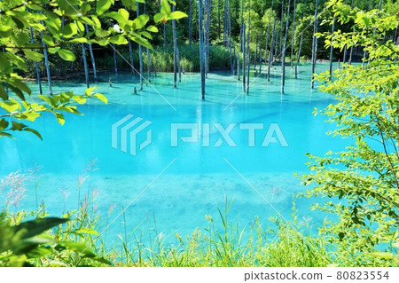 Hokkaido fresh green blue pond 80823554