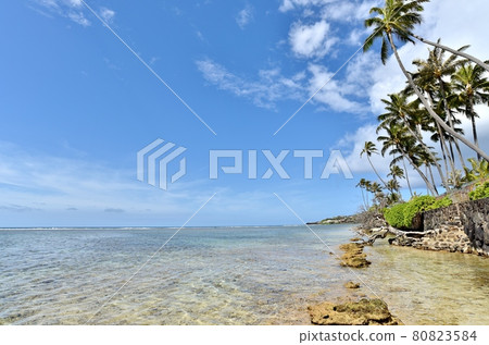 Holidays in Hawaii Holidays in Hawaii 80823584