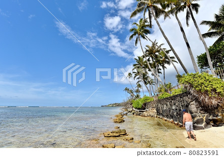 Holidays in Hawaii 80823591