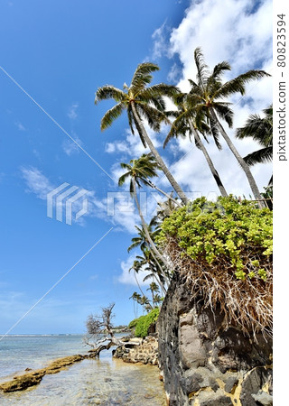 Holidays in Hawaii Holidays in Hawaii 80823594
