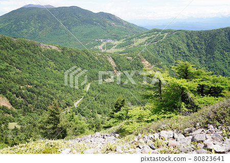群馬-長野縣界：從位於湯丸高原和高峰高原之間的東角峰山頂附近可以看到高峰高原的方向。 80823641