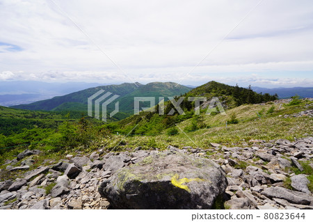 群馬-長野縣界:從湯丸高原和高峰高原之間的東籮塔頂附近,可以看到西箕塔湯之山的方向。 群馬-長野縣界:從湯丸高原和高峰高原之間的東籮塔頂附近,可以看到西箕塔湯之山的方向。 80823644
