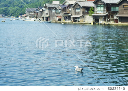 旅遊勝地伊根鎮有船庫的夏日風景 80824340