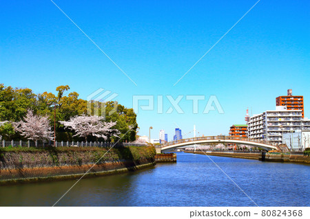 春天的櫻花盛開在名古屋市白鳥公園周圍,名古屋站前的摩天大樓縣風光 春天的櫻花盛開在名古屋市白鳥公園周圍,名古屋站前的摩天大樓縣風光 80824368
