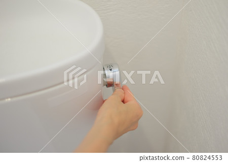 Flush toilet hand wash tank 80824553