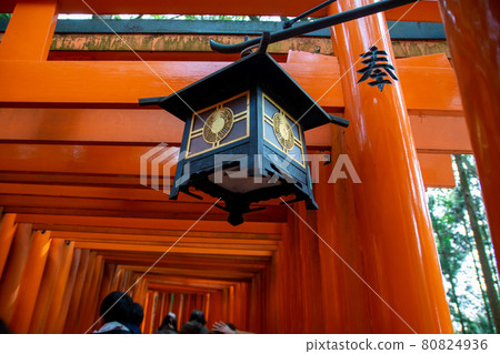 Inari Taisha Shrine in Kyoto Inari Taisha Shrine in Kyoto 80824936