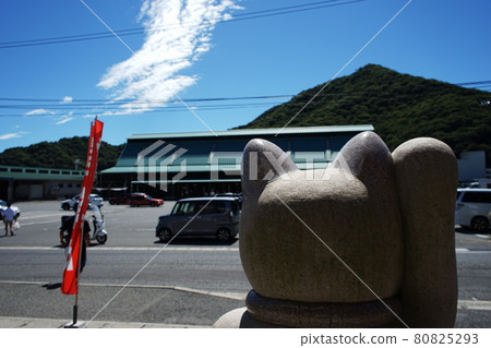 岡山縣備前市五味之一和招財貓 岡山縣備前市五味之一和招財貓 80825293