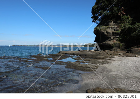 油壺海岸(神奈川縣三浦市) 油壺海岸(神奈川縣三浦市) 80825301