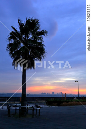 Sunrise seen from Urayasu 80825331