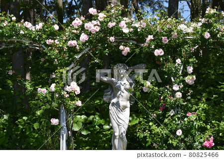 Venus figurine nestled in the arch of vine roses 80825466