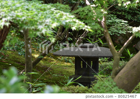 A lantern nestled in a Japanese-style garden 80825467