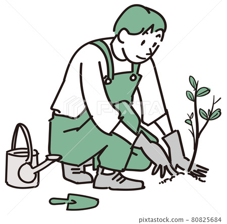 植物樹苗 80825684