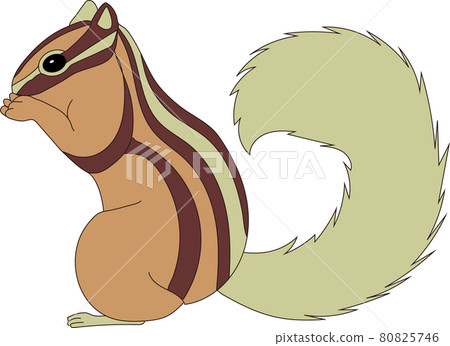 Chipmunk Chipmunk 80825746