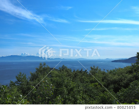 View of Harima Nada in the summer of 2021 from Cape Manyo 80825855